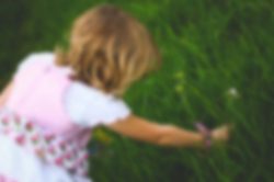 Nutritious Foods for Kids